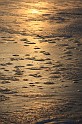 Steinhuder Meer  026
